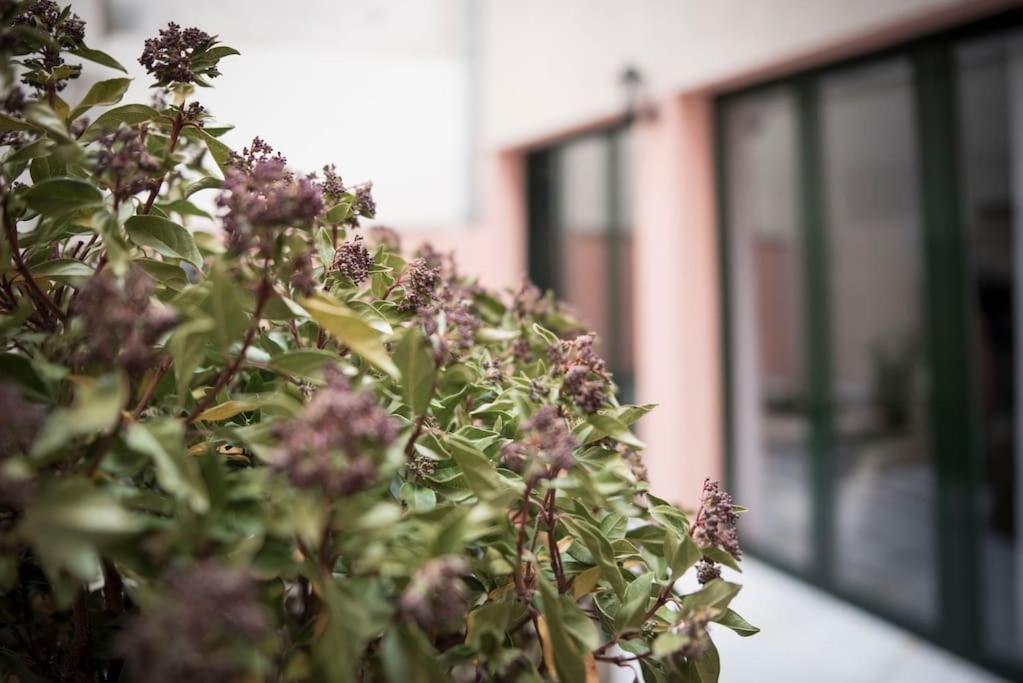 Apartamento En Centro Historico Con Patio Romano Сан-Лоренсо-де-Ель-Ескоріаль Екстер'єр фото